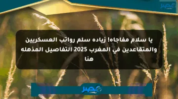 يا سلام مفاجأة! زيادة سلم رواتب العسكريين والمتقاعدين في المغرب 2025 التفاصيل المذهلة هنا